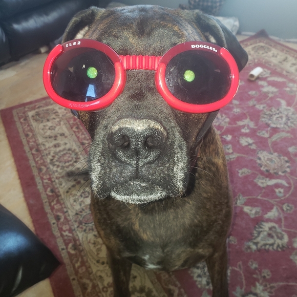 Meet your Posher, K - Picture 2 of 2